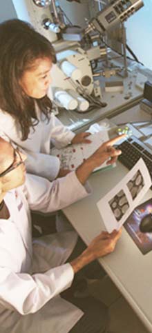 ϴ��������