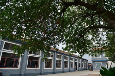 ϴ��������